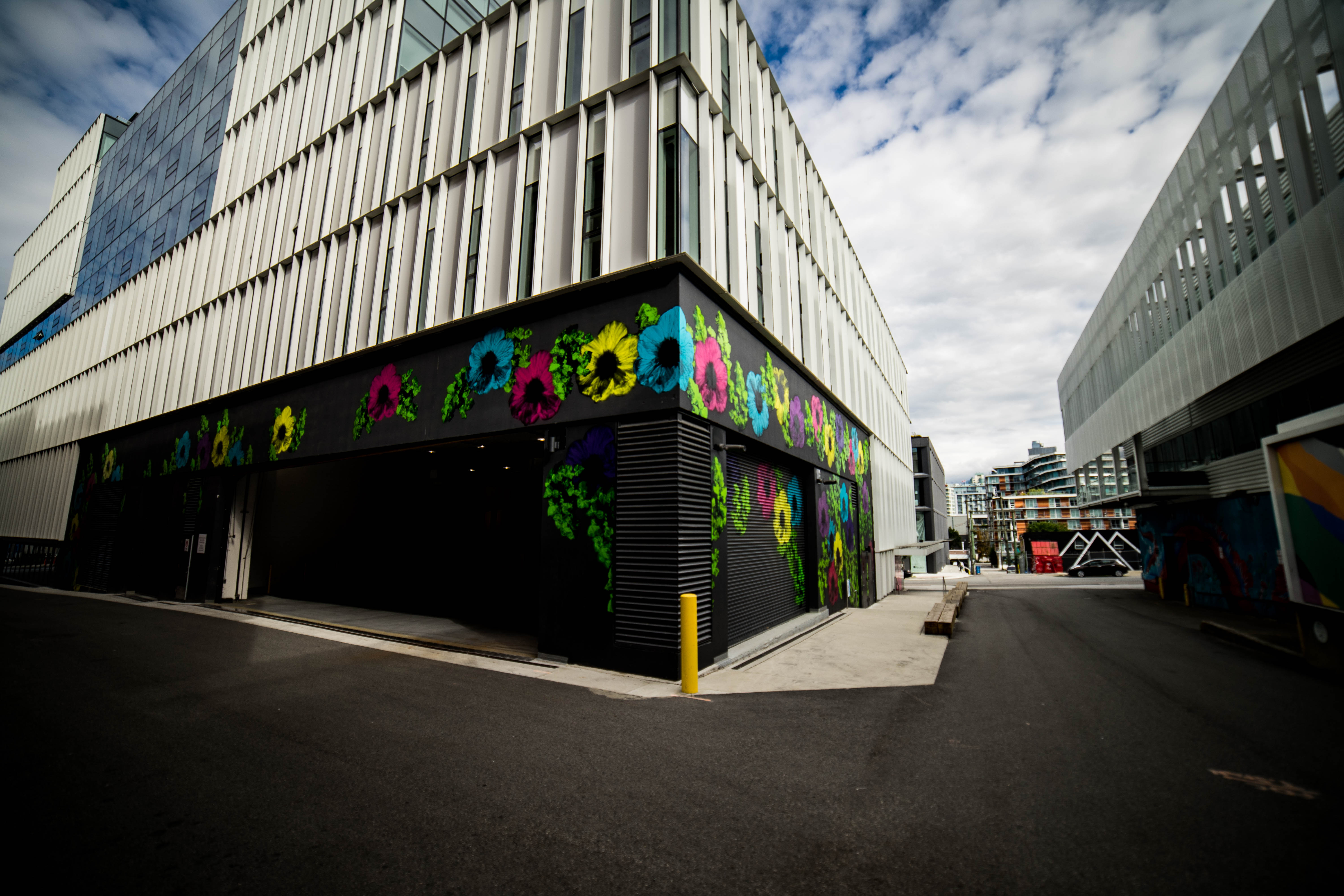 Vibrance Overgrown, photo from the city's open data