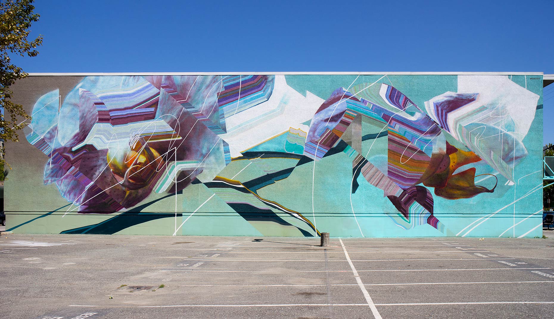 Quiver, photo from the city's open data
