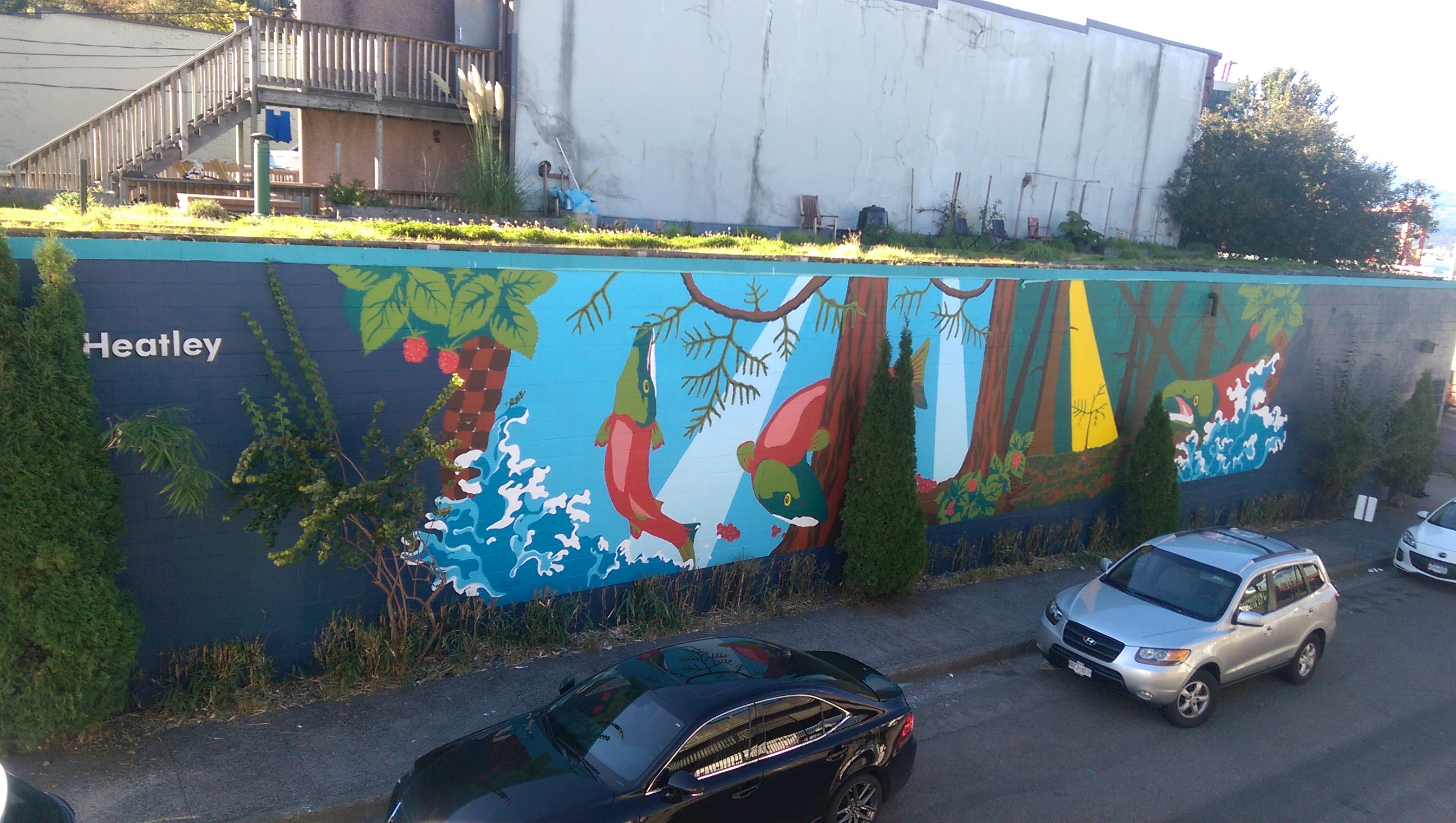 Salmon (Jacob's Well), photo from the city's open data