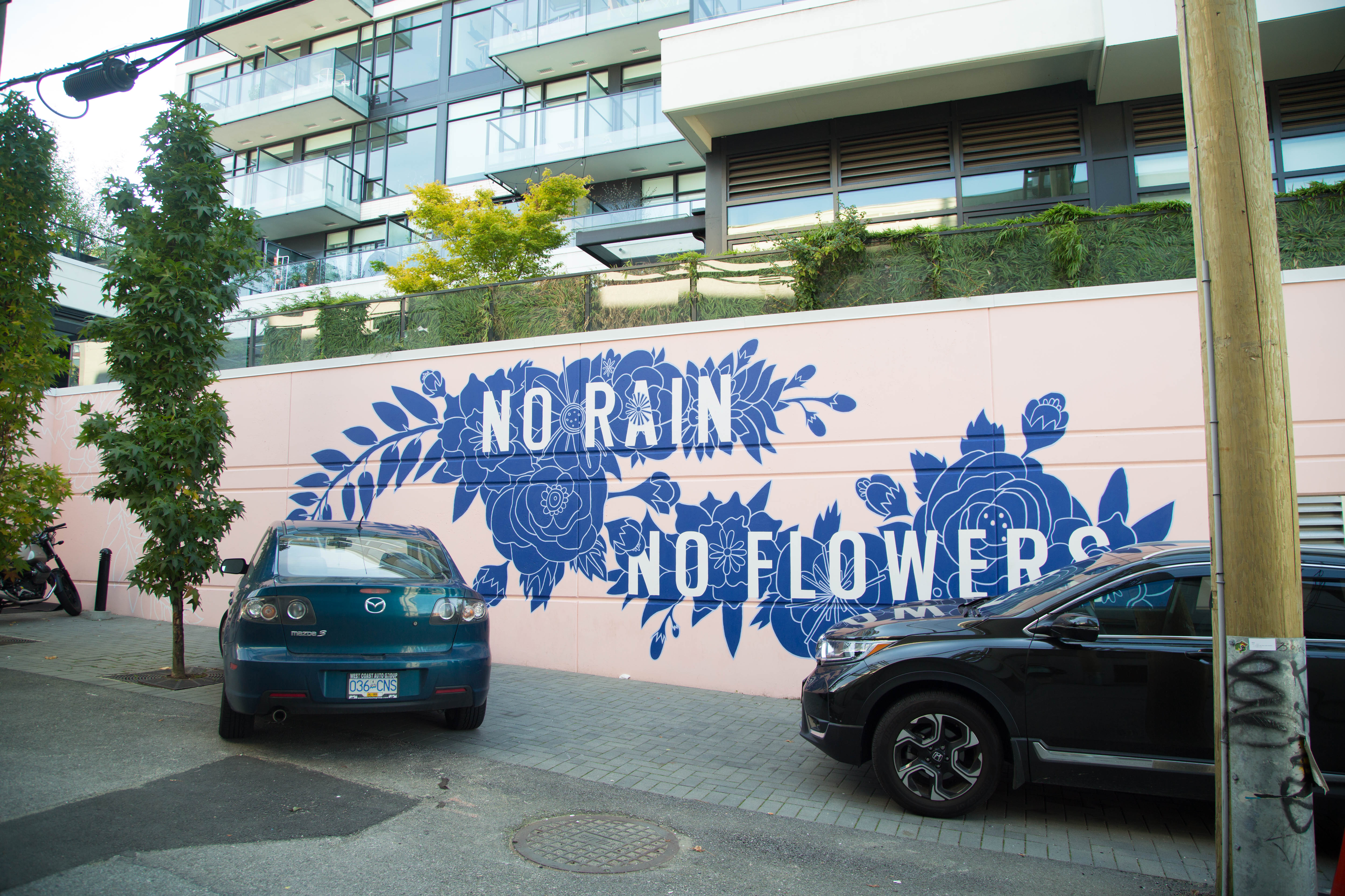 No Rain No Flowers, photo from the city's open data