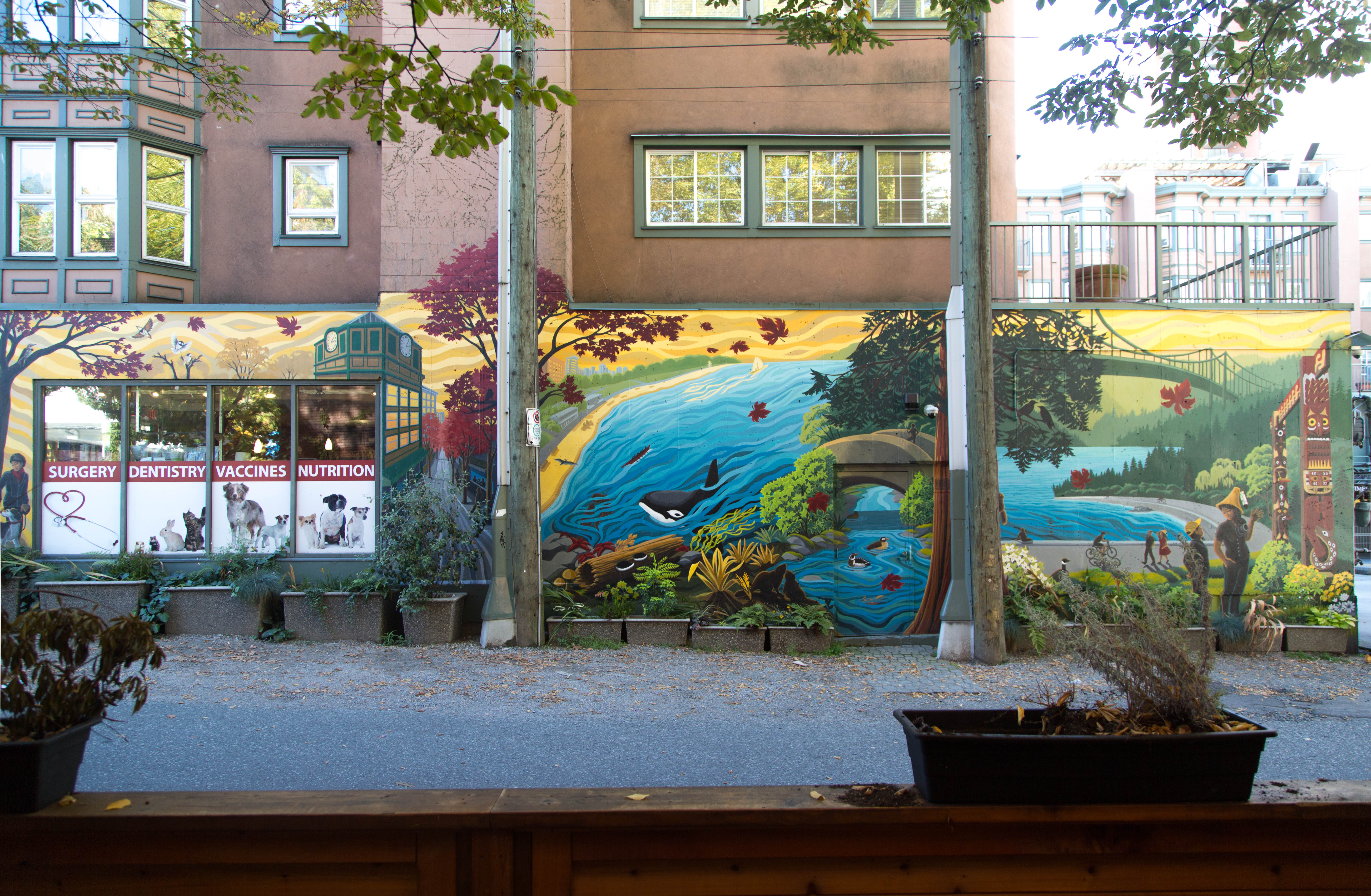 Salish Sea, photo from the city's open data