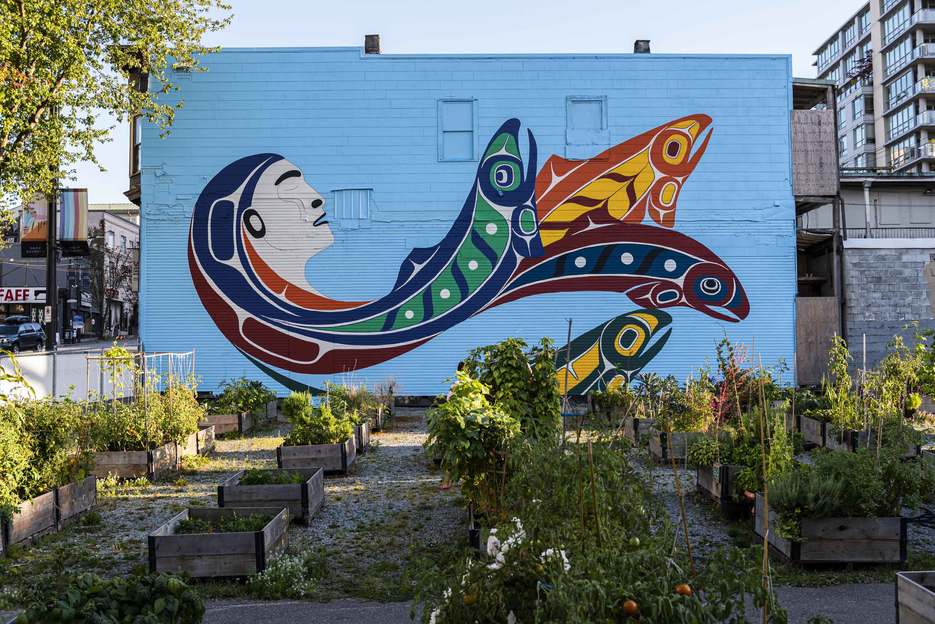 Force Of Nature, photo from the city's open data