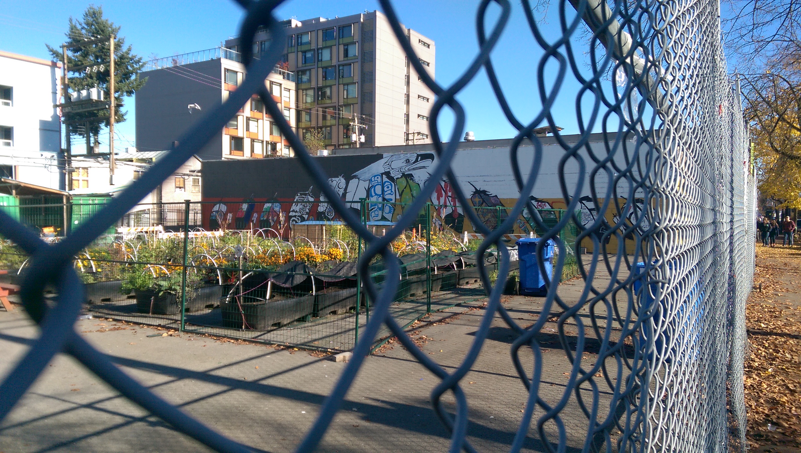 Culture Saves Lives, photo from the city's open data