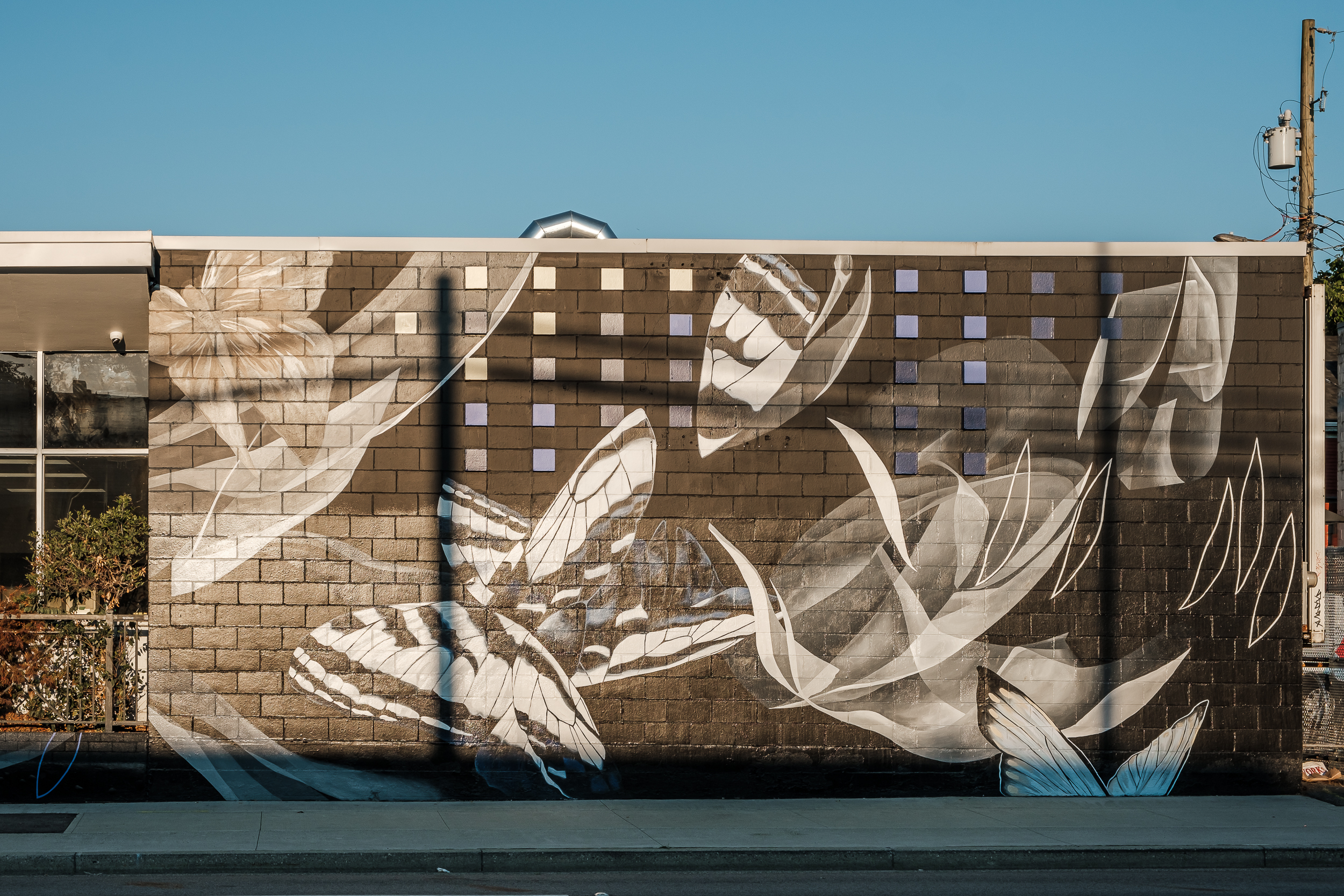 Imaginal Discs, photo from the city's open data