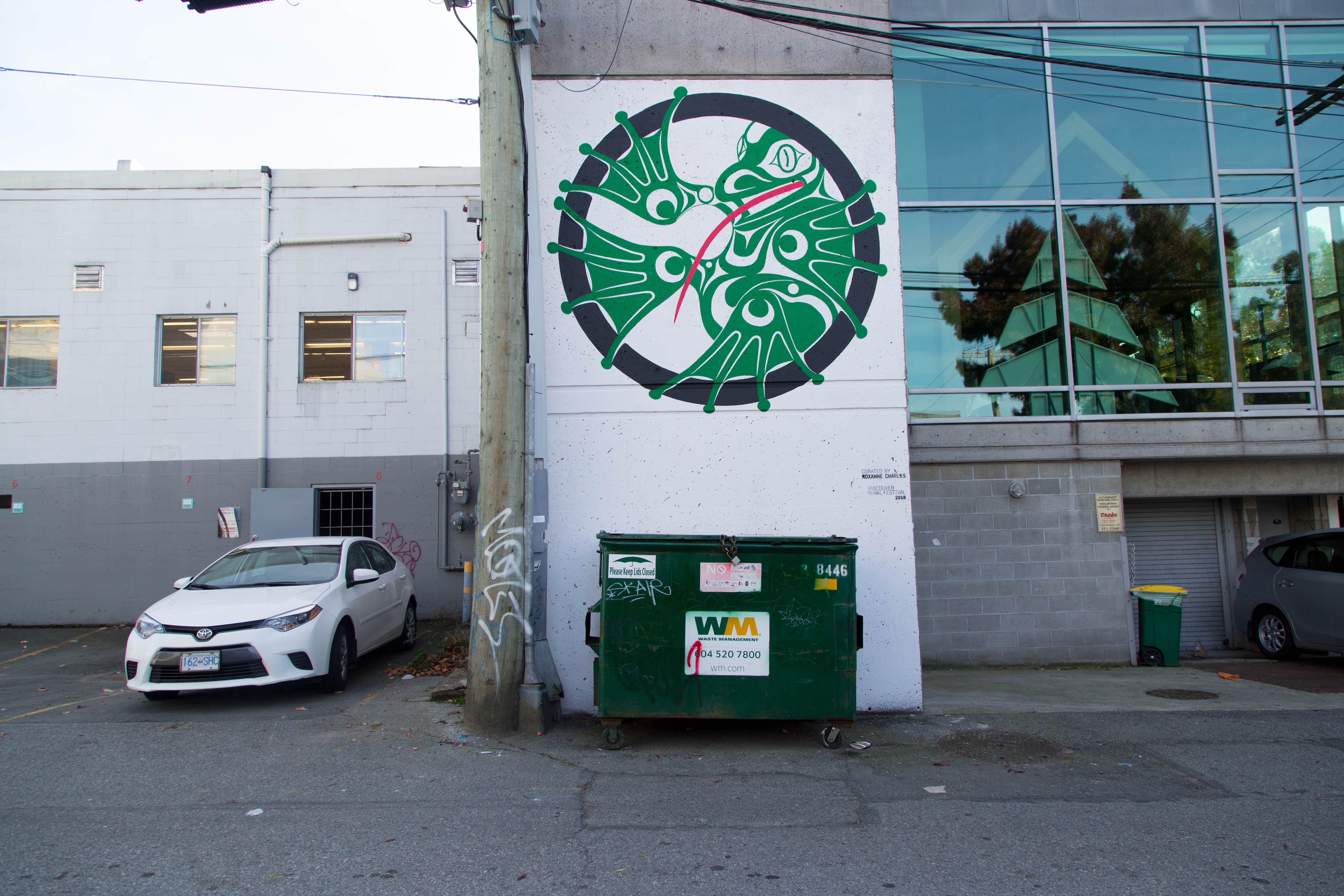 Frog, photo from the city's open data